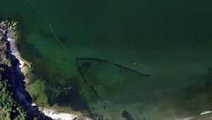 Zdjęcie pochodzi ze strony dailymail.co.uk