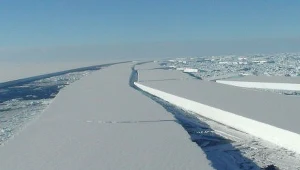 Szelf lodowy Wilkinsa na Antarktydzie
