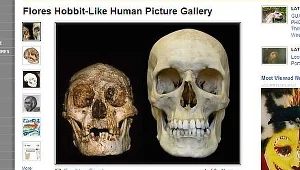 Z lewej strony czaszka hobbita. Zdjęcie ze strony nationalgeographic.com