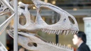 To nie planetoida zabiła dinozaury