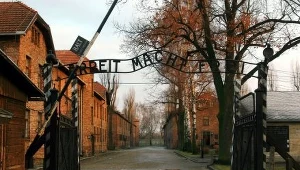 / fot. A. Barbarowski