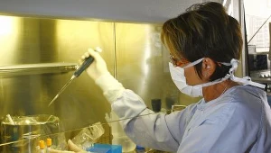 Wkrótce szczepionka przeciw grypie A/H1N1