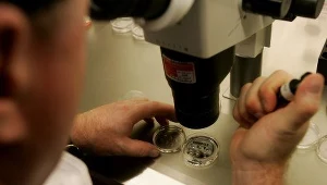 66-letnia Brytyjka już wkrótce będzie mamą