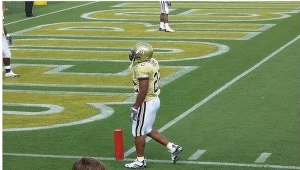 Zdrowi jak ryby? Tylko na papierze...