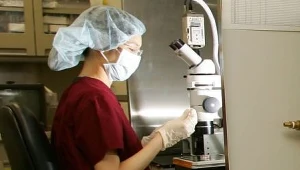 Naukowcy odkryli bakterię "nie z tej ziemi"