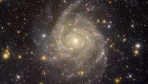 Rój meteorów i jasne planety na pocieszenie