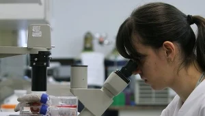 Testowanie leków na ludzkich embrionach