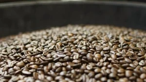 Kawa może pomóc w leczeniu demencji