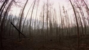 Kim byli zamordowani?