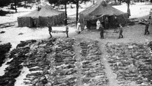 1943, ekshumacja ciał zamordowanych w Katyniu polskich oficerów