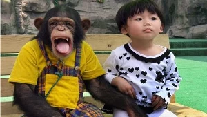 Zarażają się od animowanych postaci