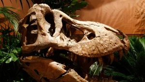 Tyranozaury też miały problemy ze swoimi dziećmi