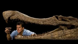 Skamieniałe kości krokodyli znalazł pracujący dla National Geographic profesor Paul Sereno