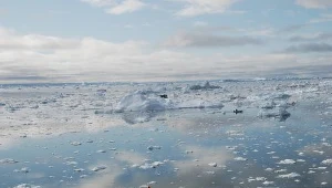 Cofający się lodowiec Illulisat na Grenlandii, symbol i argument zwolenników globalnego ocieplenia