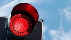 fot. Damjan Stankovic