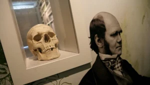 Tajemnicze wymioty Darwina