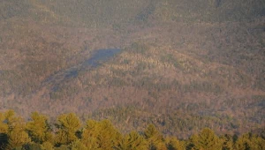 Zimna wojna była korzystna dla przyrody