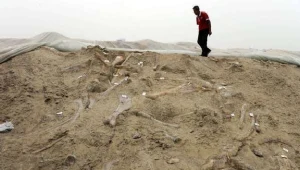 Stanowisko paleontologiczne znajduje się w chińskim mieście Zhucheng