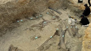 Zhucheng nazywane jest "miastem dinozaurów"