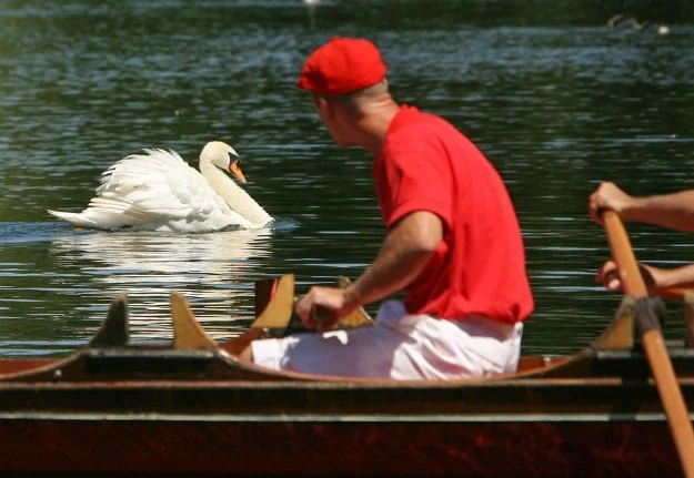 Polacy są oskarżani o plądrowanie brytyjskich rzek Polacy są oskarżani o plądrowanie brytyjskich rzek