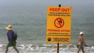 Śmietnik na Atlantyku coraz większy