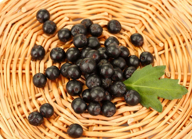 Nie chcesz mieć zmarszczek? Stosuj kremy z aronią