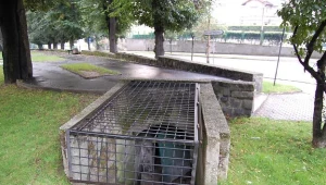 Lubań, ul. Lwówecka. Wejście i wnętrze schronu przeciwlotniczego wybudowanego przez RAD