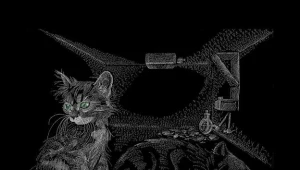 Artystyczna wizja paradoksu kota Schrödingera/fot. Sienna Morris / Rex Features