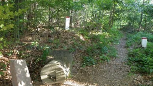 Przewrócony słup węgierski z 1939 roku na Czereninie