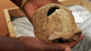 Czaszka homo erectusa znaleziona w 2000 r.