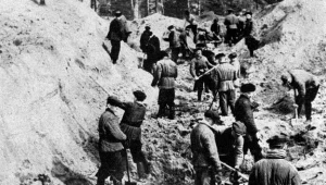 Mężczyźni wykopują ciała polskich oficerów z masowych grobów w Katyniu. Zdjęcie z 1943 r.