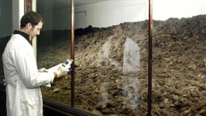 Obcięte włosy więźniów w Muzeum Auschwitz/fot. W. Laski