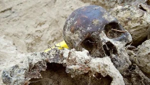 Szczątki Polaków w Bykowni/fot. Sergey Svetlitsky