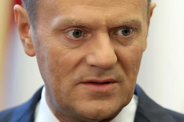 Donald Tusk, fot. Radek Pietruszka