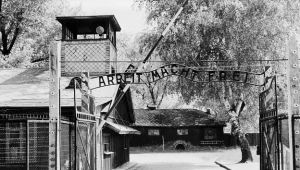 Brama wjazdowa do obozu, 1945 rok