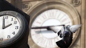 W. Brytania: Spór o zaszyfrowany meldunek gołębia