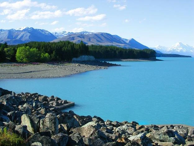 Gareth Morgan ma jedno proste marzenie: Nowa Zelandia bez kotów Gareth Morgan ma jedno proste marzenie: Nowa Zelandia bez kotów