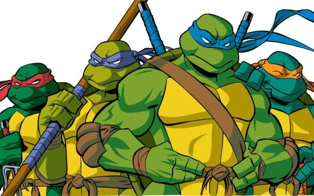 Teenage Mutant Ninja Turtle - motyw graficzny Teenage Mutant Ninja Turtle - motyw graficzny