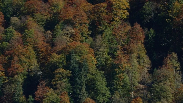 Park Narodowy Berchtesgaden