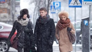 Prawo Agaty 