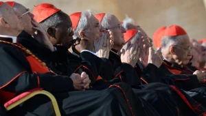 Kardynałowie na ostatniej audiencji generalnej Benedykta XVI