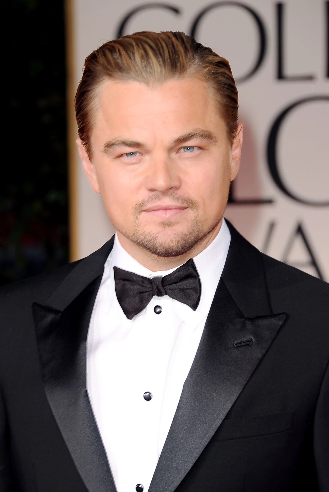 Leonardo DiCaprio Leonardo DiCaprio
