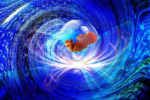 Zapłodnienie in vitro dla każdego - tylko w Chinach Zapłodnienie in vitro dla każdego - tylko w Chinach