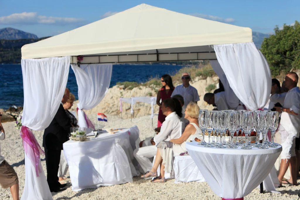 Pinija Dalmatia Pinija Dalmatia