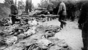 Ekshumacja mogił polskich oficerów, Katyń 1943