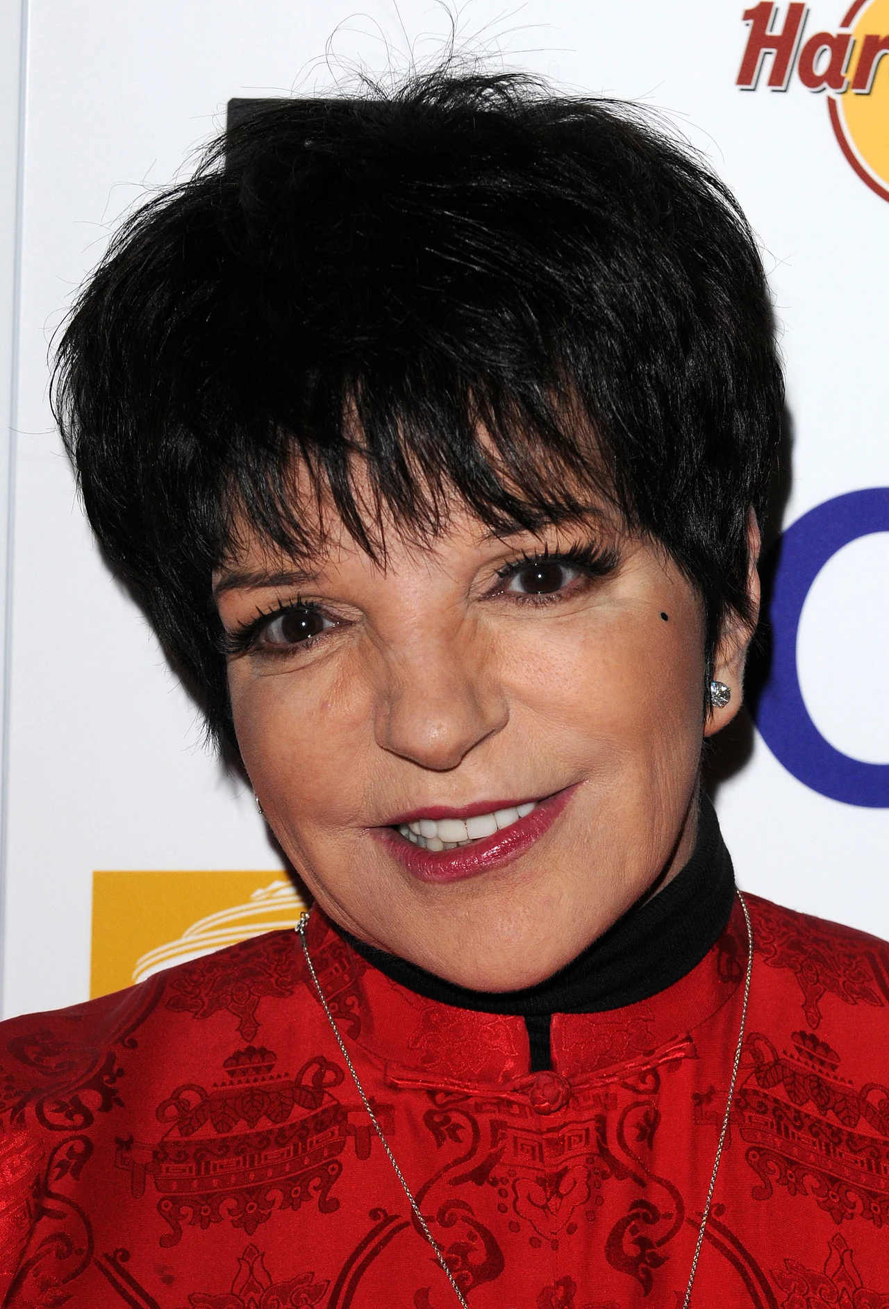 Liza Minelli Liza Minelli