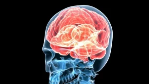 Ludzki umysł od wieków fascynował myślicieli z całego świata 