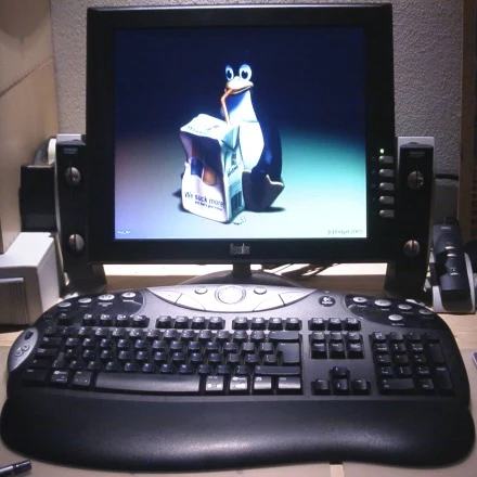 Linux fot. Freerk Lautenbag