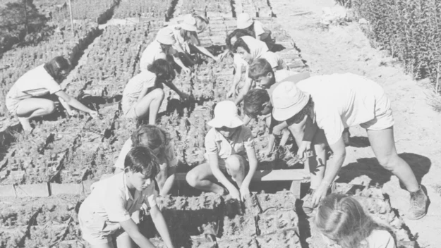 Życie codzienne dzieci w kibucach, pustynia Negew 1950