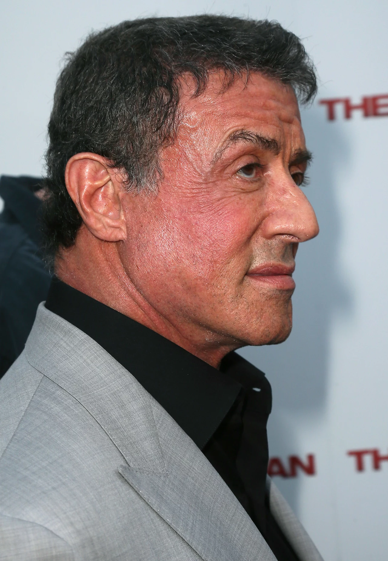 Sylvester Stallone Sylvester Stallone